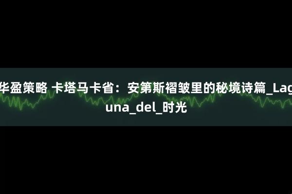 华盈策略 卡塔马卡省：安第斯褶皱里的秘境诗篇_Laguna_del_时光